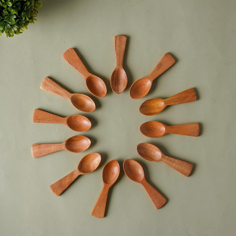 Neem Wood Masala Spoon Set of 12