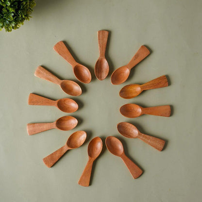 Neem Wood Masala Spoon Set of 12