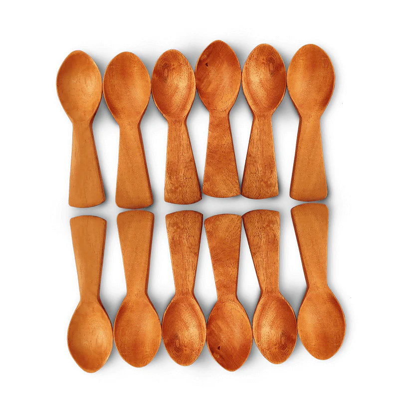 Neem Wood Masala Spoon Set of 12