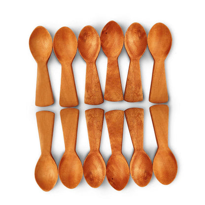 Neem Wood Masala Spoon Set of 12