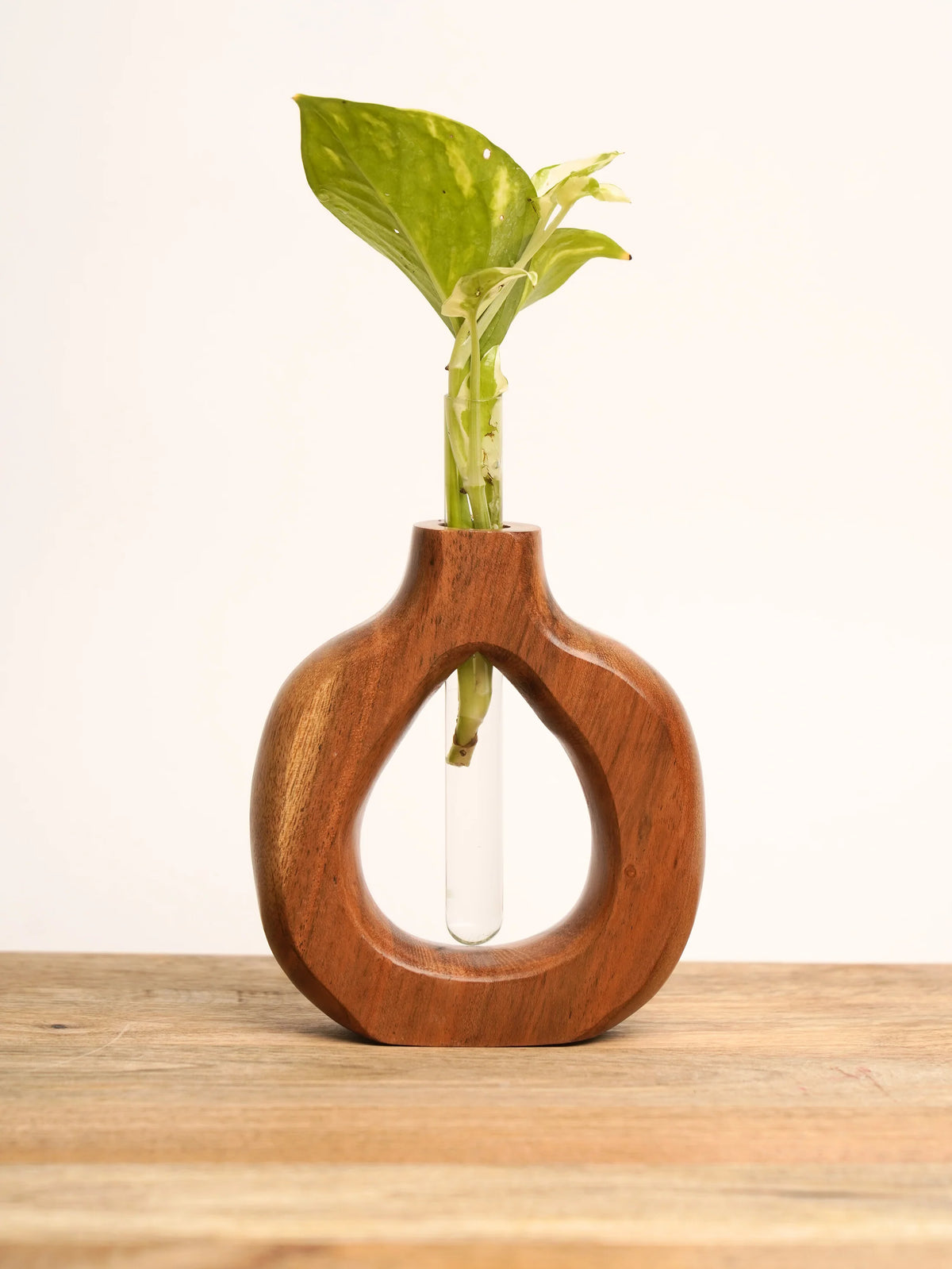 Acacia Wood Decorative Vase