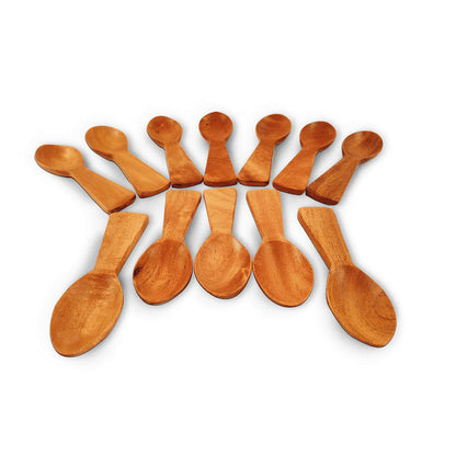 Neem Wood Masala Spoon Set of 12